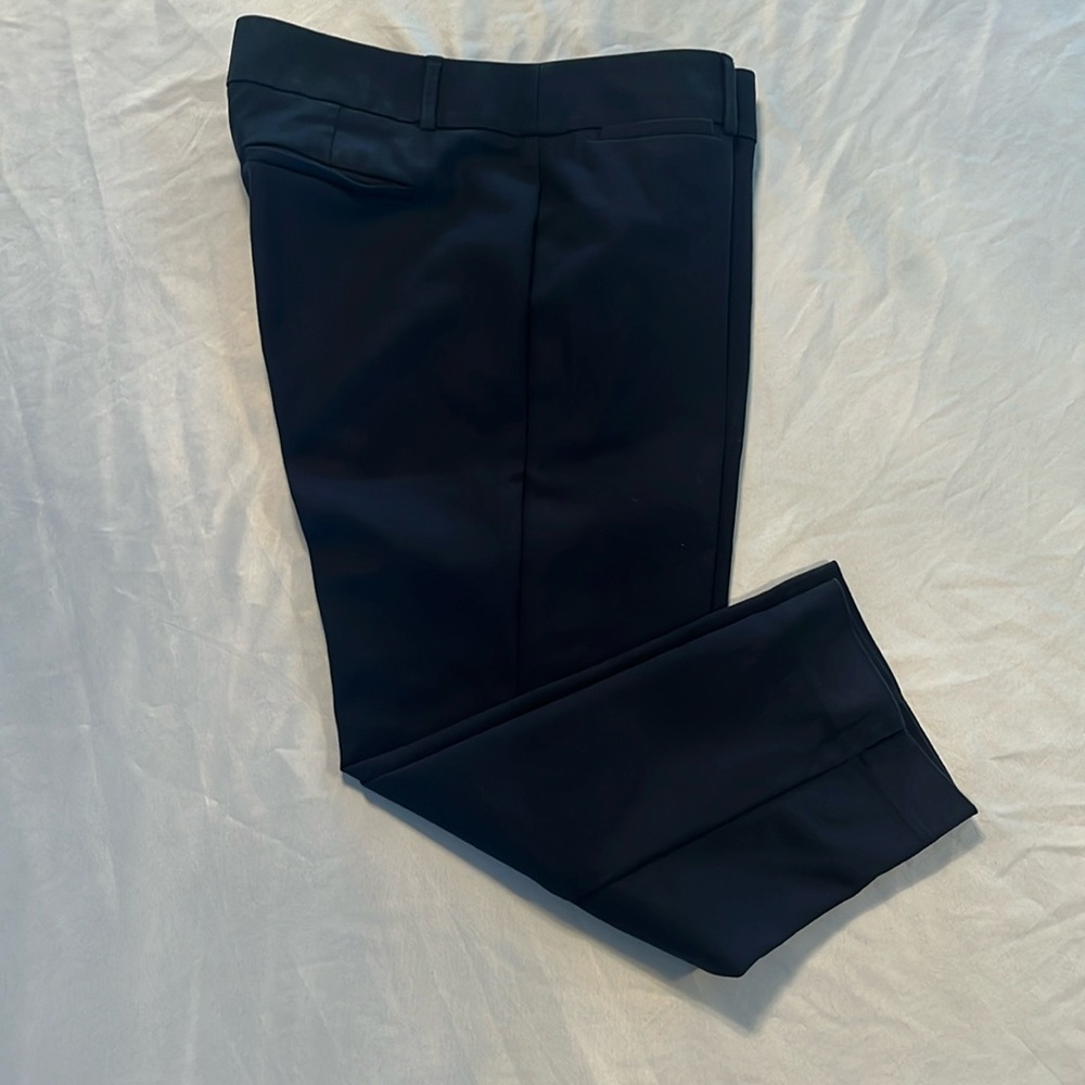 Loft Marissa Cropped Pants 10P